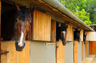 free Ascreavie stable construction quotes